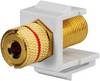 Rutenbeck 17000668 Adapter KMK-LS sw sw, 1 szt.