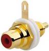 Rutenbeck 17000304 Adapter KM-Cinch rw, 1 szt.