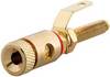 Rutenbeck 17000309 Adapter KM-LS rt, 1 szt.