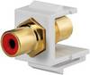 Rutenbeck 17000607 Adapter złącze żeńskie proste żółty 1 szt.