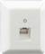 Biała sieciowa wtyczka ścienna, odpowiednia do podłączenia kabla Ethernet.