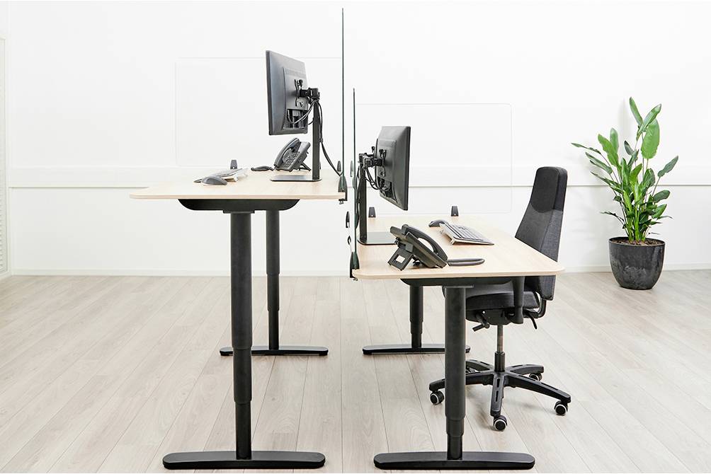 Dwa biurka w biurze, rozdzielone przegrodą, jedno z regulowanym na wysokość blatem, rośliny w tle.