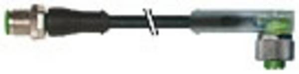 Murrelektronik 7000-40361-6350200 Złącze konfekcjonowane czujnika/aktuatora 7000-40361-6350200, piny: 5, 2.00 m, 1 szt.