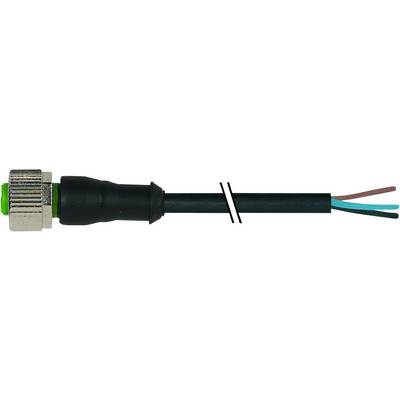 Czarny kabel trójżyłowy z wtyczką śrubową, odkryte końcówki w kolorach brązowym, niebieskim i zielonym do połączeń elektrycznych.