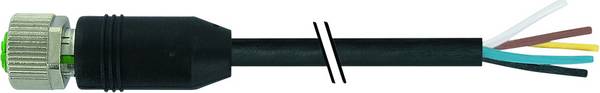 Murrelektronik 7000-17041-7220200 Złącze niekonfekcjonowane czujnika/aktuatora, piny: 8, 2.00 m, 1 szt.