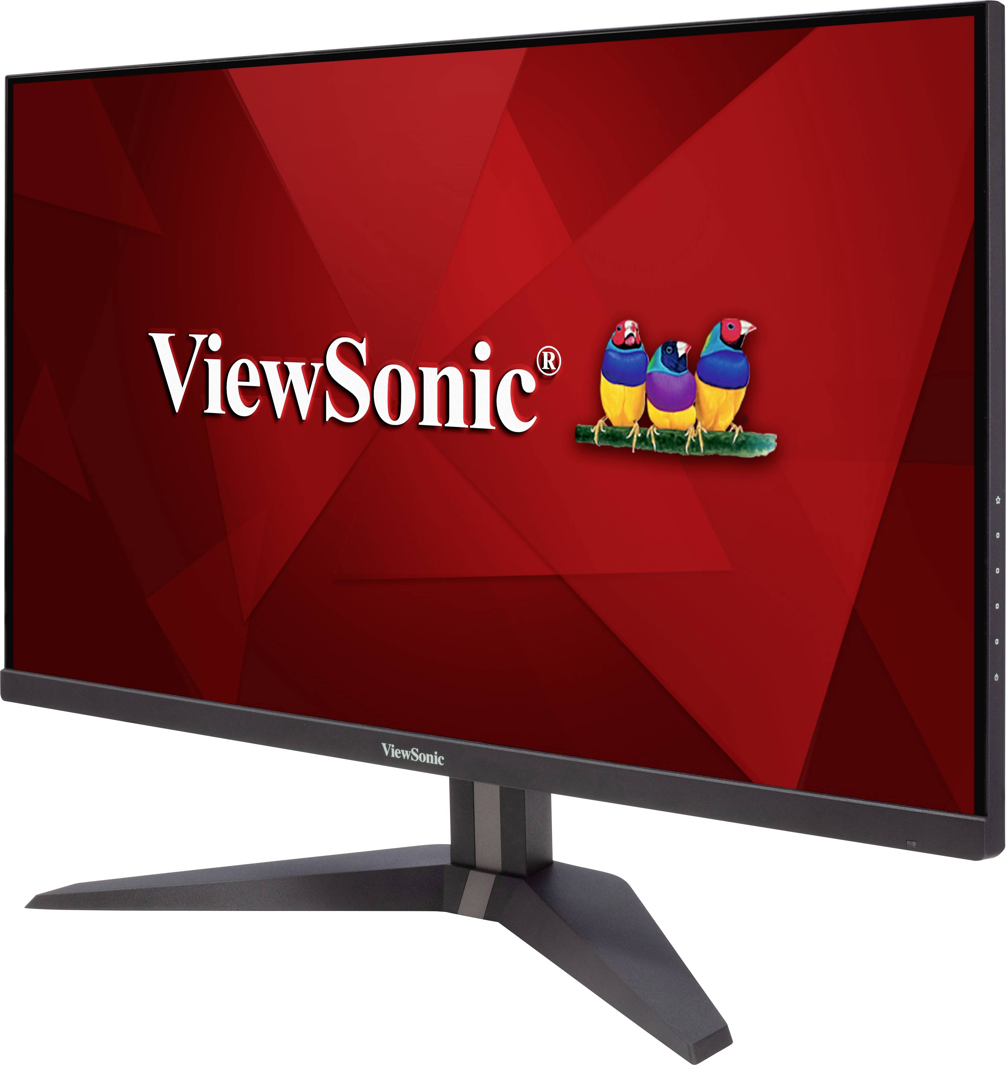 Monitor komputerowy marki ViewSonic z czerwonym tłem i trzema kolorowymi ptakami w logo na ekranie.