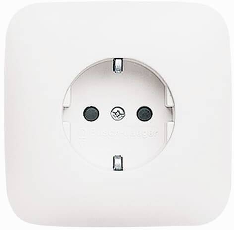 Busch-Jaeger 2CKA002011A1896 Розетка прихованого монтажу IP20 чисто білий (ral 9010), білий