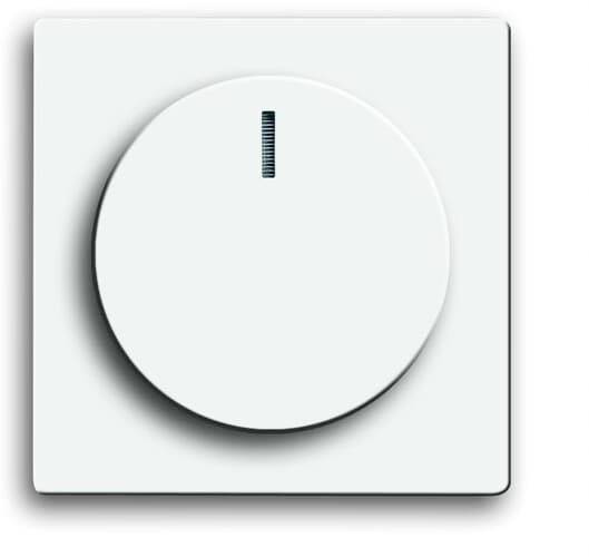 Busch-Jaeger Zaślepka Regulator natężenia oświetlenia Axcent biały, biały 2CKA006599A2953 1 szt.