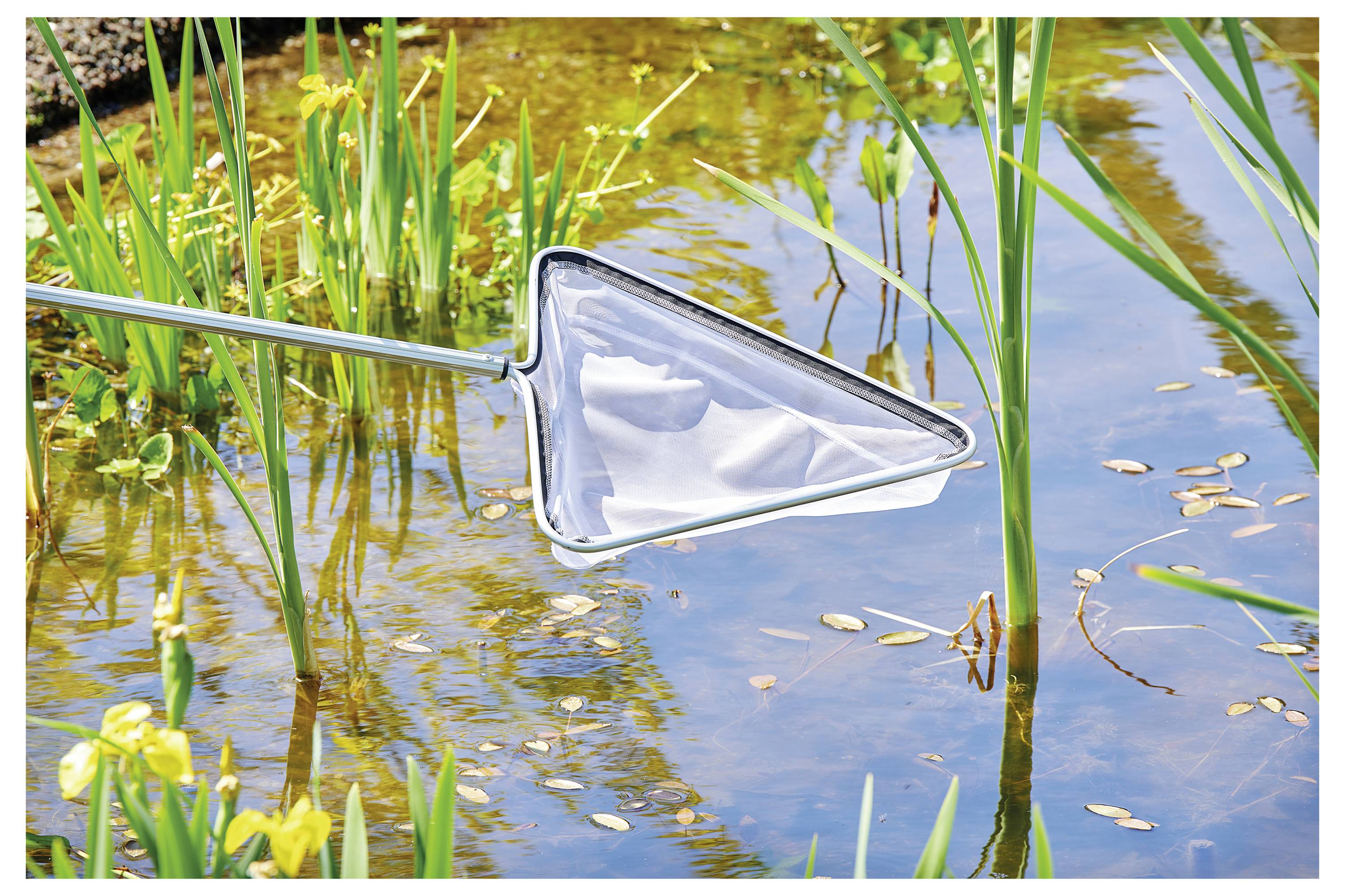 Staw porośnięty sitowiem i żółtymi kwiatami jest przesiewany trójkątną siecią, odbijając przejrzyste błękitne niebo i otaczającą zieleń.