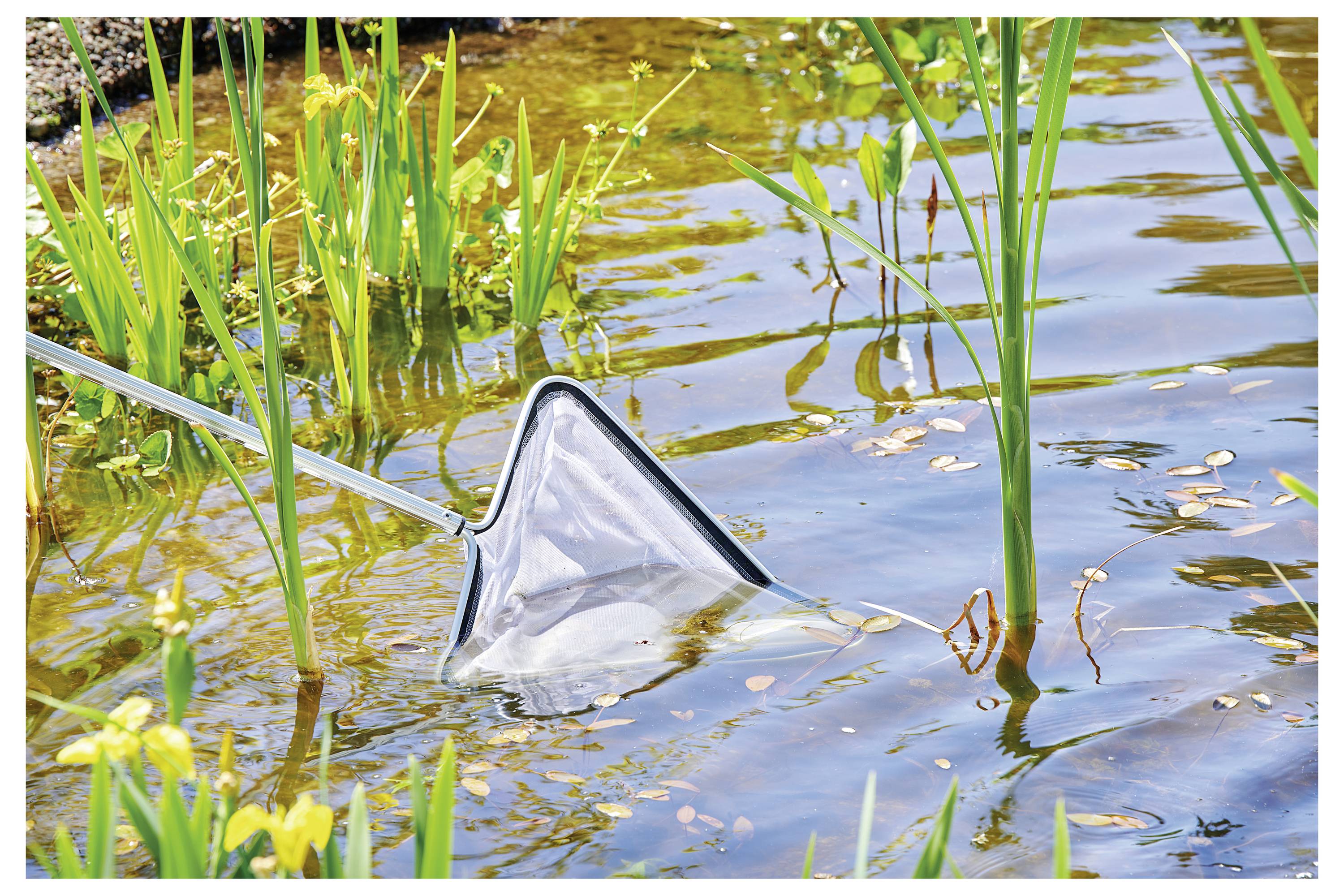 Mały staw z wysoką trawą i siecią zanurzoną w wodzie, sugerujący czyszczenie stawu lub pobieranie próbek wody w naturalnym środowisku.