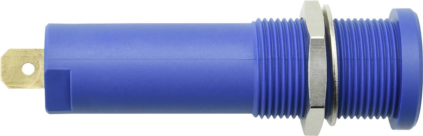 Schützinger DI HSEB 3125 L Au / BL Вбудована високовольтна розетка безпеки, 1 шт.