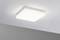 Kwadratowa, biała lampa sufitowa LED na szarej powierzchni sufitu, równomiernie rozpraszająca światło. Minimalistyczny design.