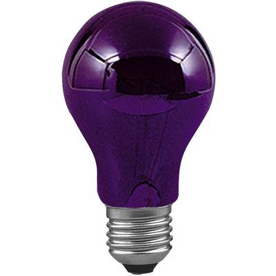 Lampa serwisowa 75W E27 Paulmann 59070, E-27, (Ø x D) 55 mm x 95 mm