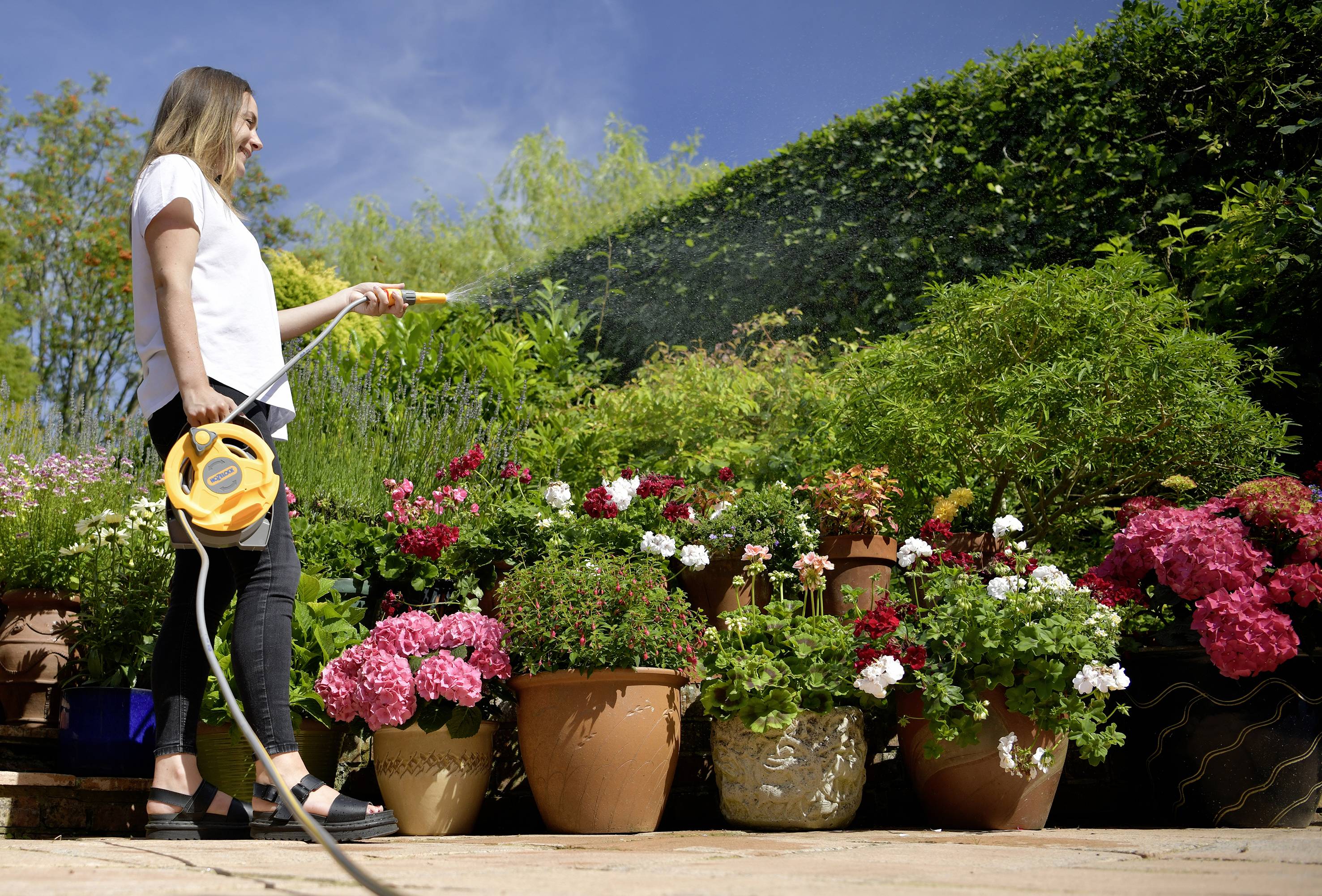 Osoba podlewa rośliny w doniczkach gliniastych o różnych rozmiarach, wśród których znajdują się kwitnące czerwone i różowe kwiaty, w słoneczny dzień w ogrodzie.