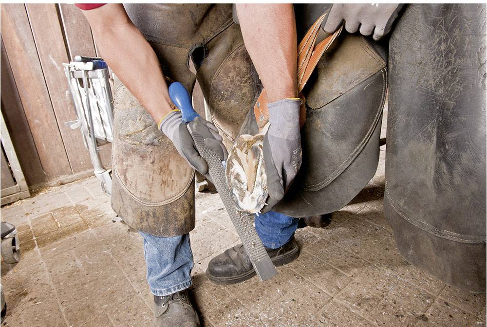 ІНСТРУМЕНТИ PFERD FH 6/1 12612000, 1 шт.