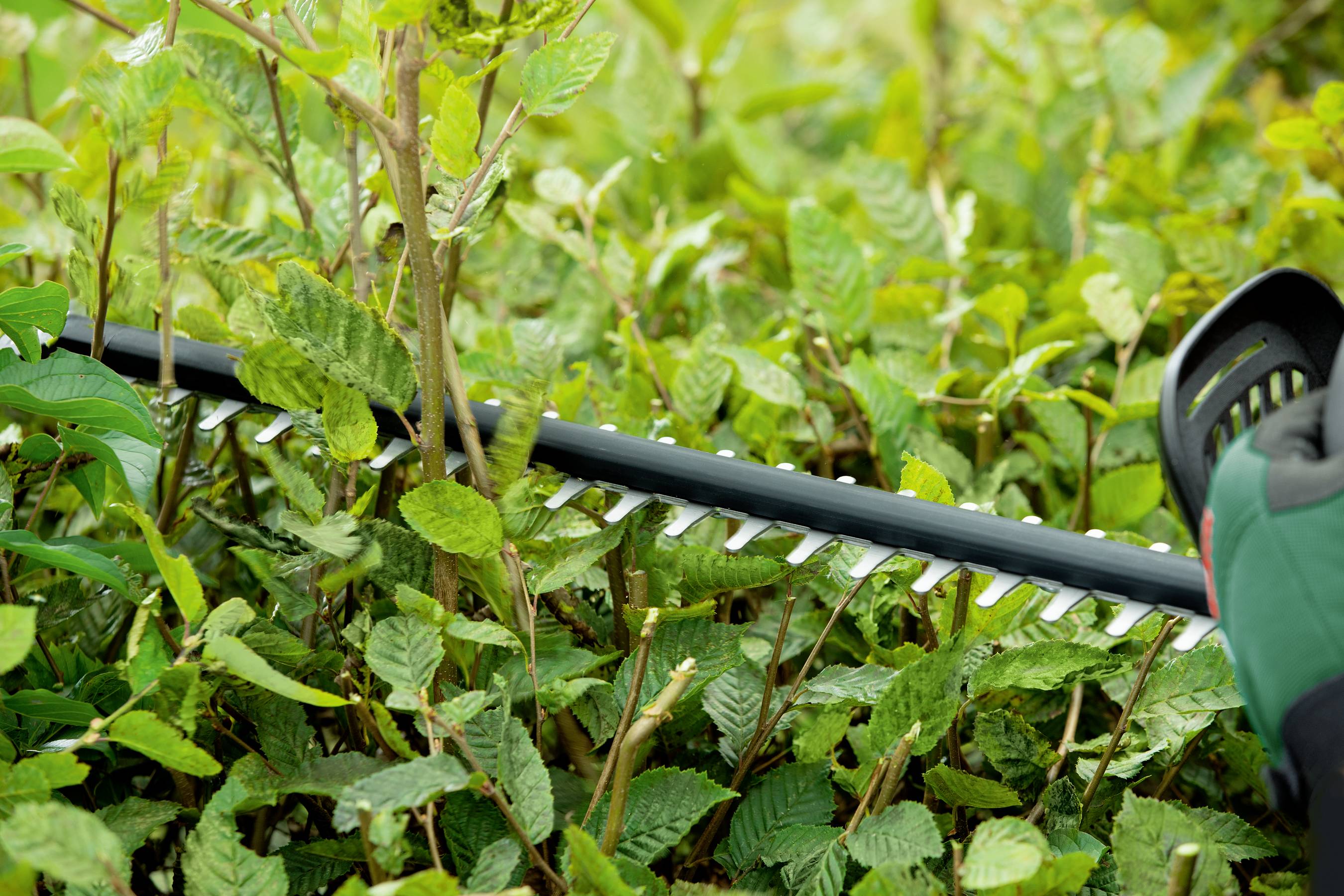 Акумуляторний тример для живоплоту Bosch Home and Garden UniversalHedgeCut 18-50 без акумулятора 18V Li-Ion