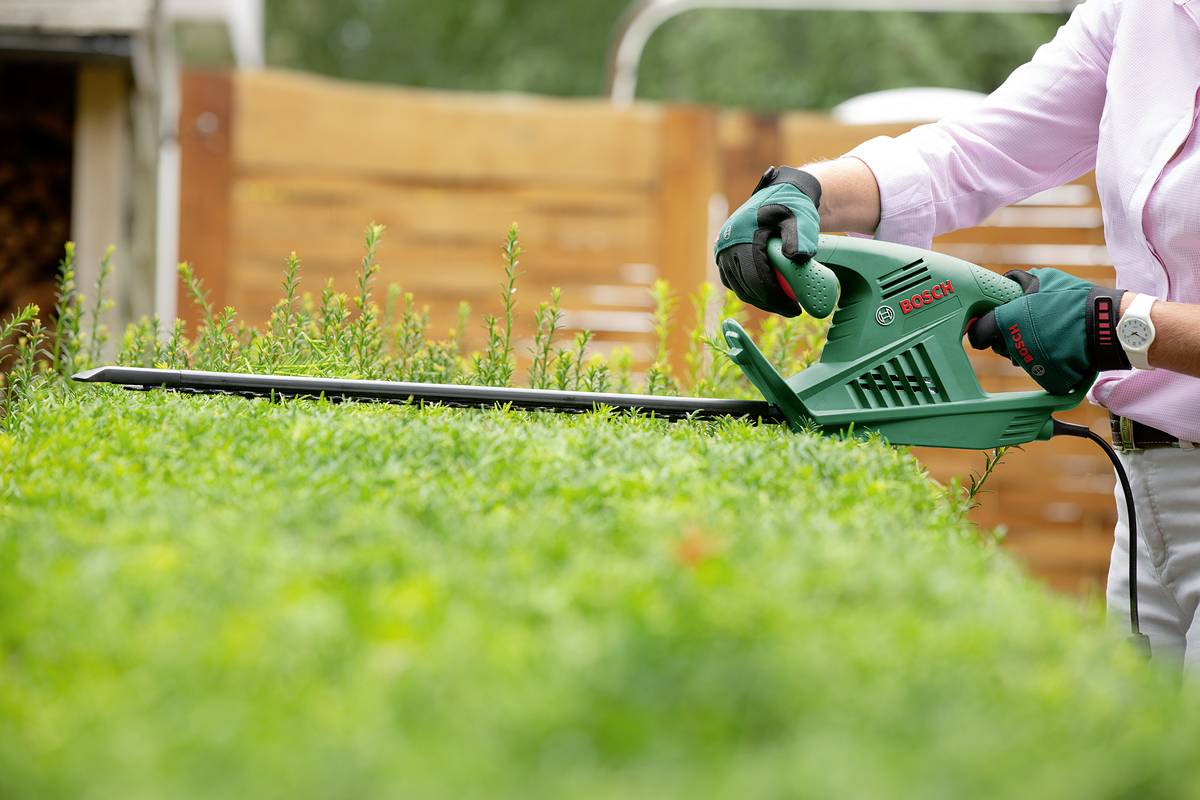 Osoba przycina żywopłot elektryczną nożycą do krzewów. Ma założone rękawice i stoi w ogrodzie przed drewnianym płotem.
