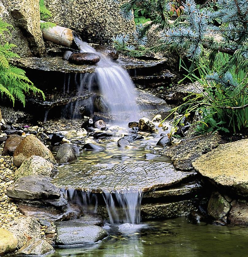 Mały wodospad spływa po kamieniach do stawu, otoczony zielonymi roślinami i skałami, w naturalnej scenerii ogrodu.