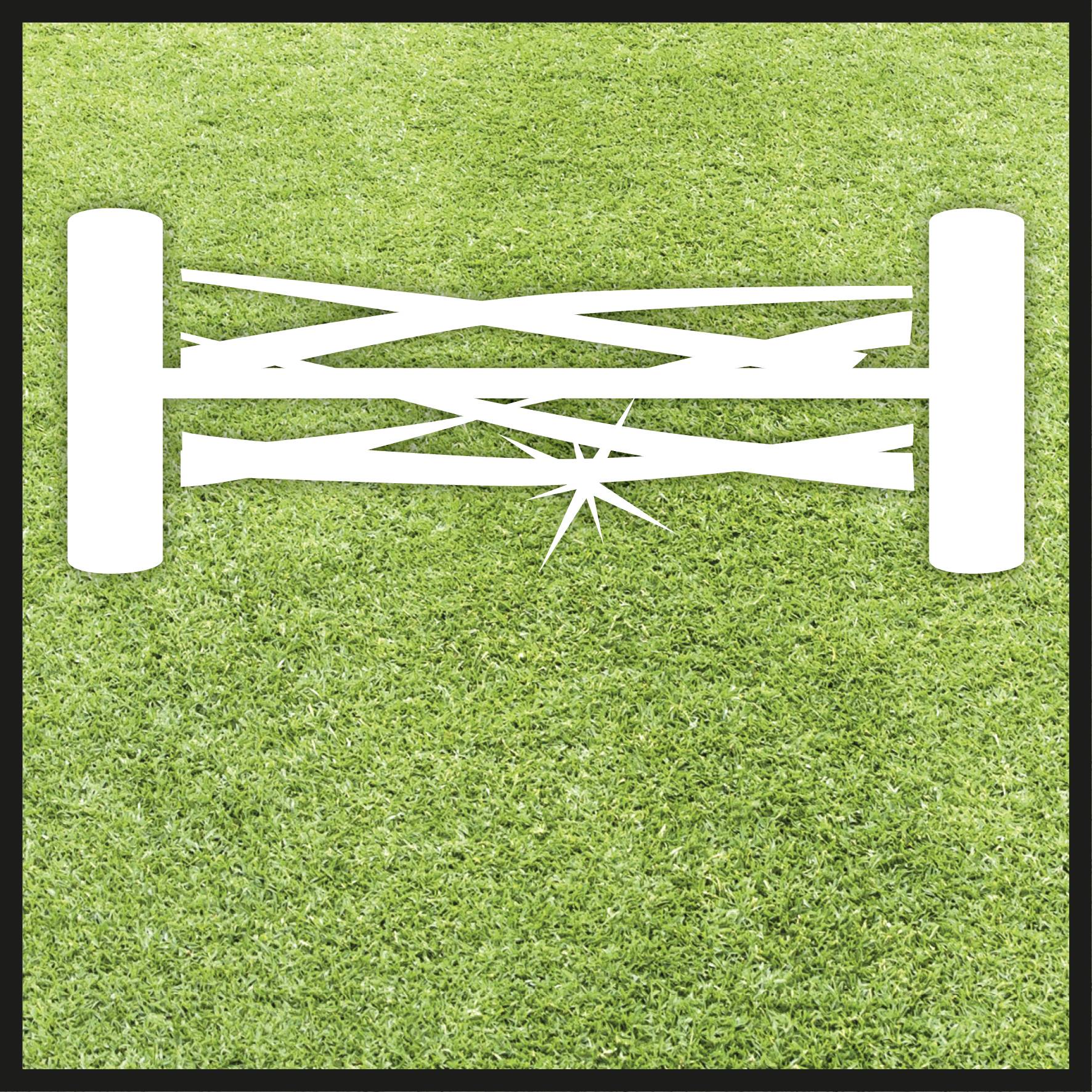 Biała grafika z przekreślonymi gałęziami i gwiazdką pośrodku, przedstawiona na zielonym tle.