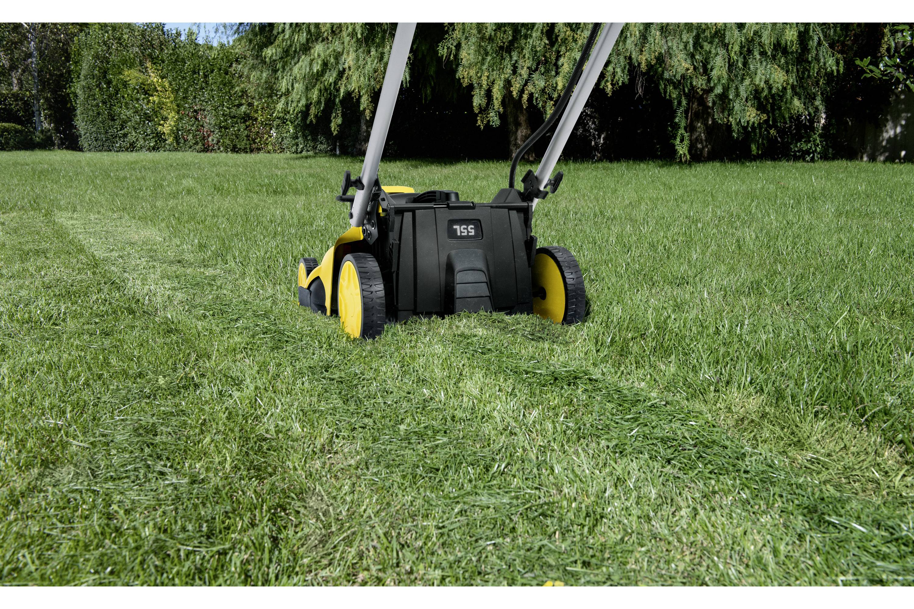 Kosiarka kosi trawę na łące, pozostawiając skoszoną ścieżkę. Gęste krzewy i drzewa w tle.