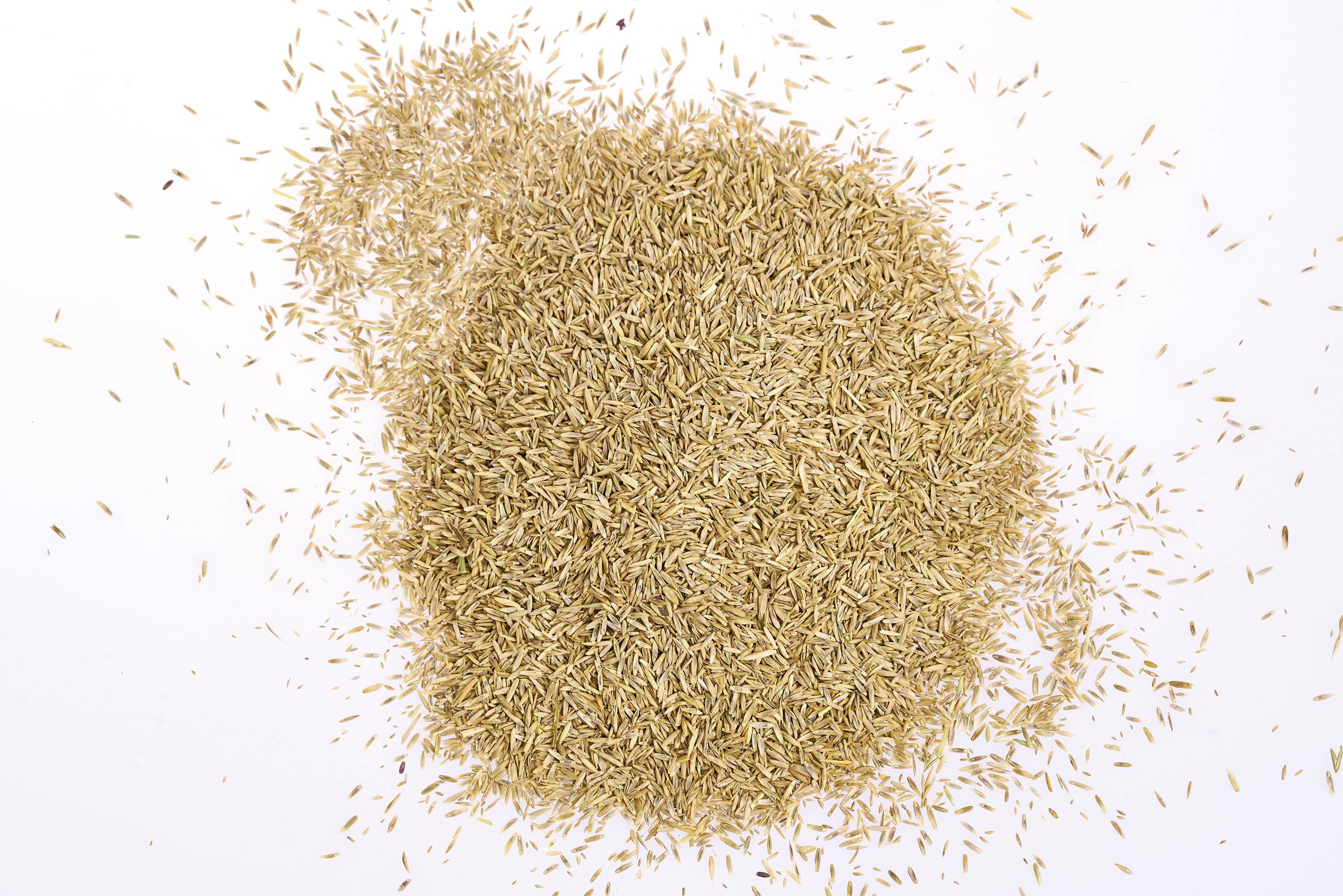 WOLF-Garten 3826650 WOLF-Garten 3826650 1 шт.