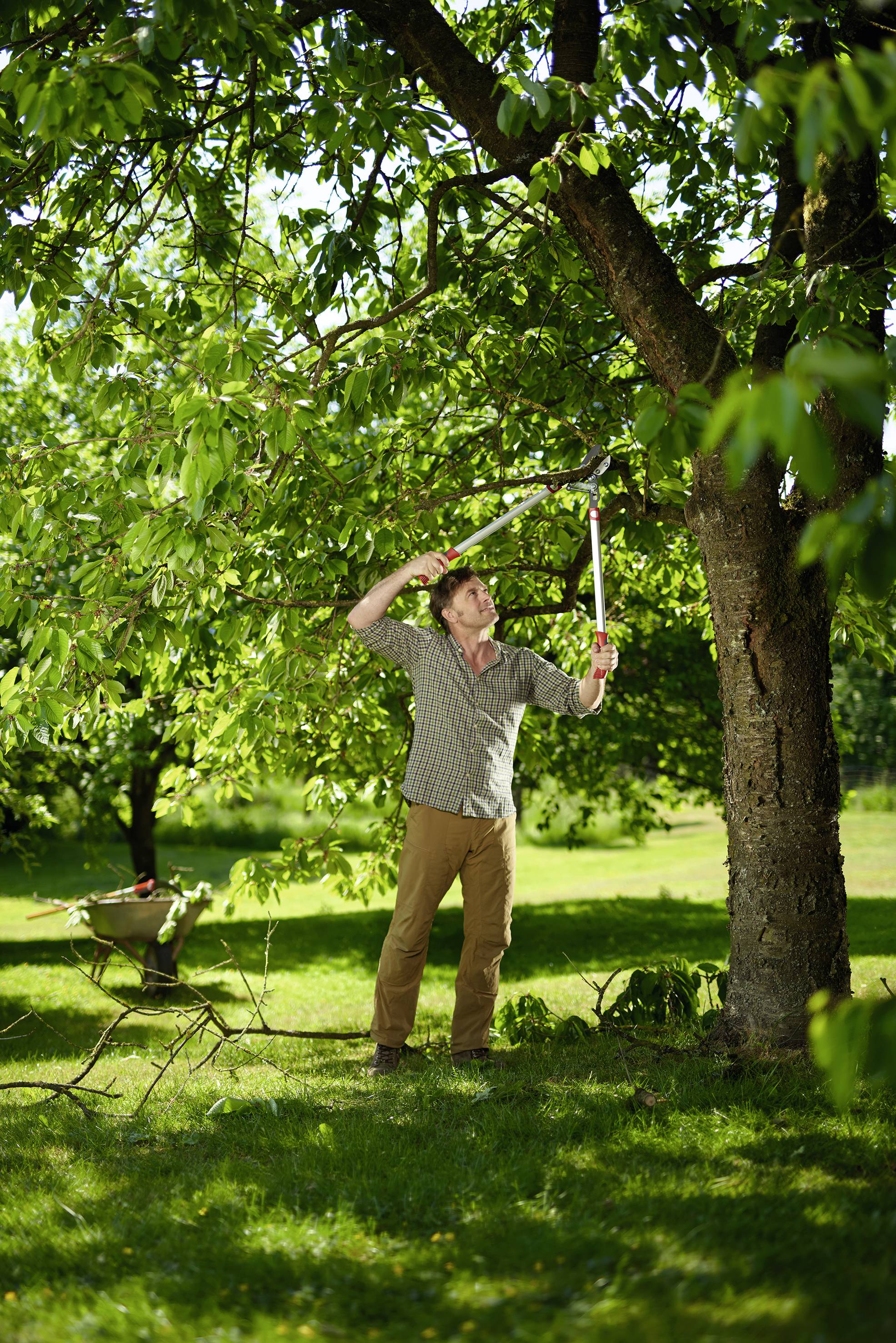 Ножиці для гілок WOLF-Garten 73AGA010650 POWER CUT RS 800 V з ковадлом 75 см