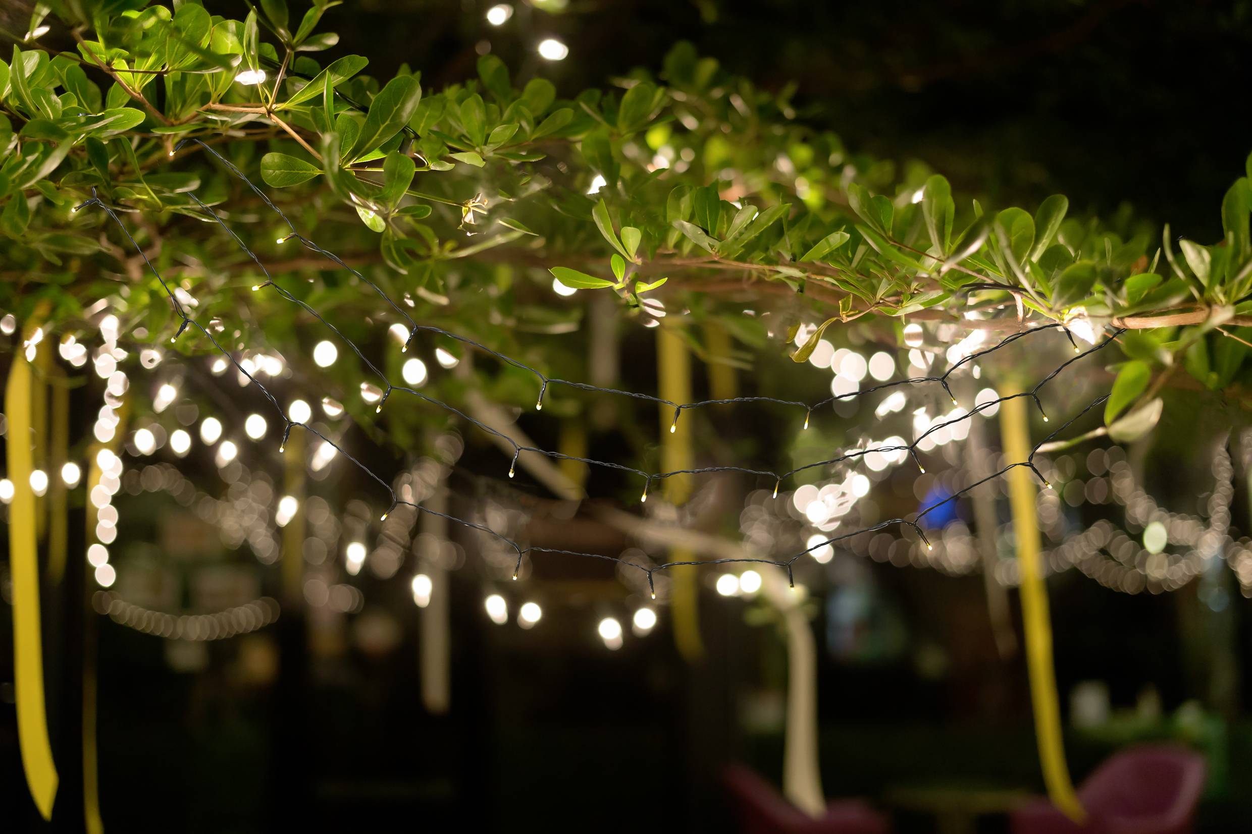 Sygonix SY-4722054 Теплі білі різдвяні вогні