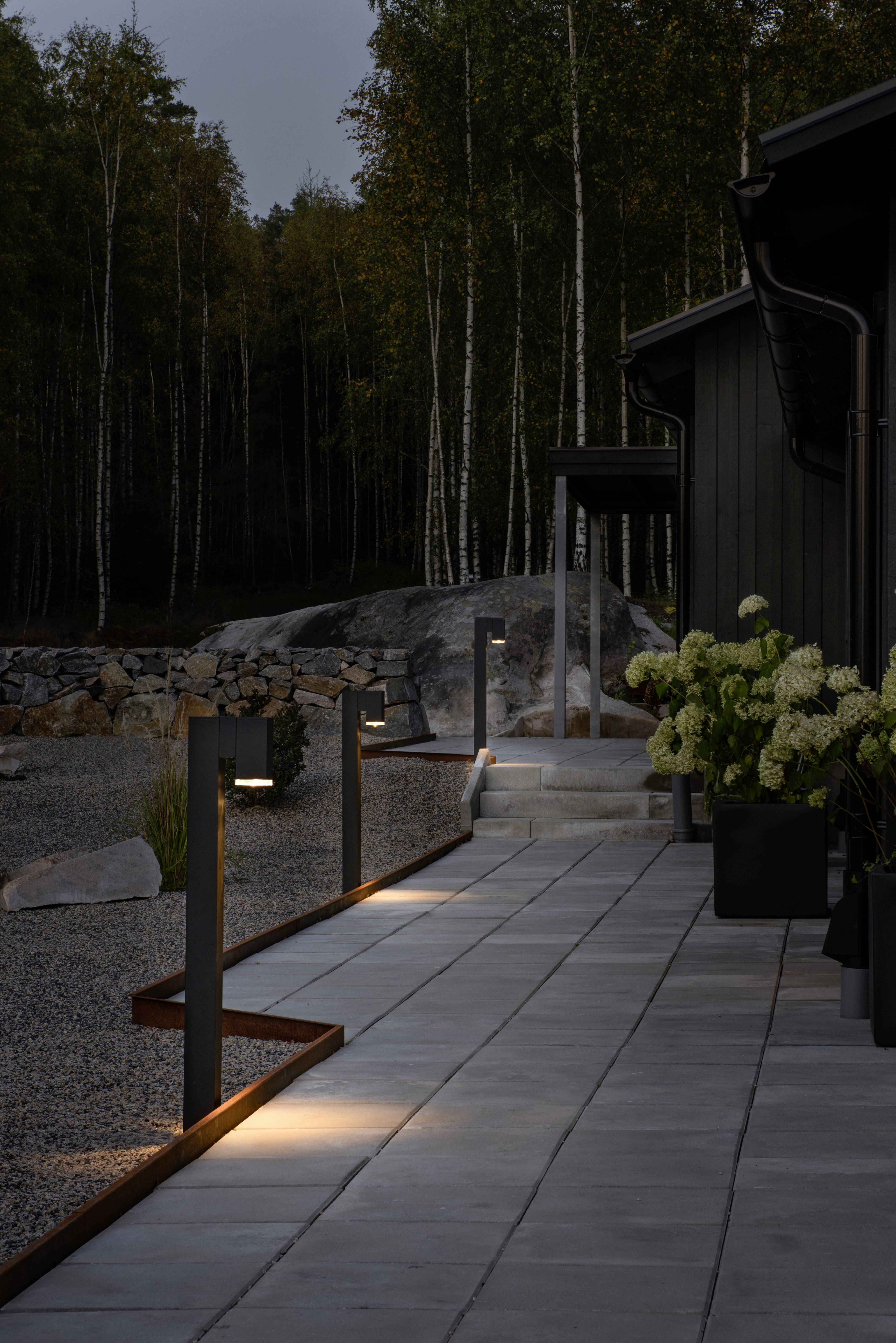 Wybrukowany chodnik o zmierzchu, obramowany nowoczesnymi lampami naziemnymi i roślinami, prowadzi do domu z ciemnego drewna. W tle brzozowy las.