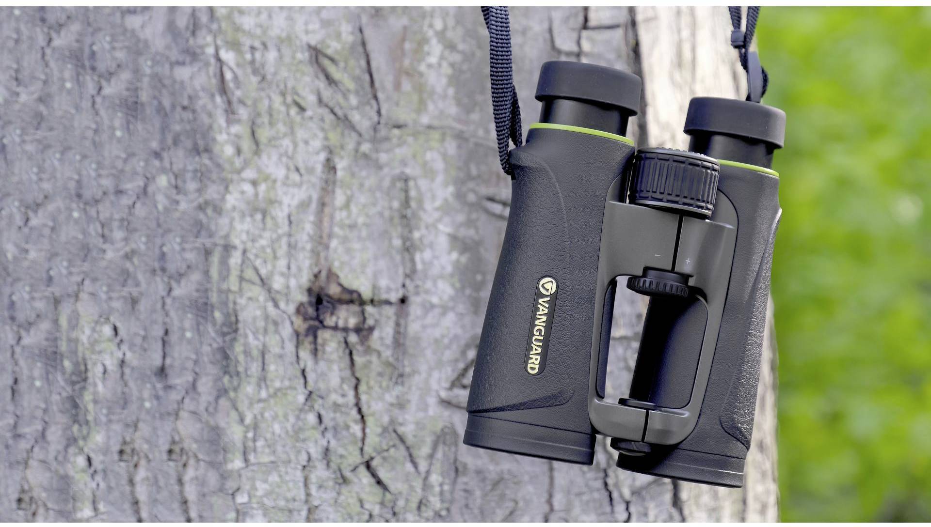 Lornetka wisi na pniu drzewa. Szare drzewo i lornetka są w centrum uwagi. W tle widać rozmyte zielenie.