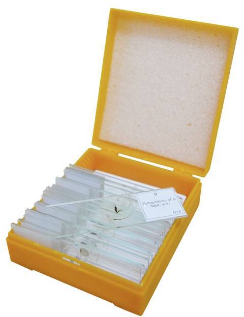 Otwarty żółty pojemnik z kilkoma szkiełkami mikroskopowymi, z których jedno ma etykietę z napisem 'Owrzodzenie komórki podstawnej'.