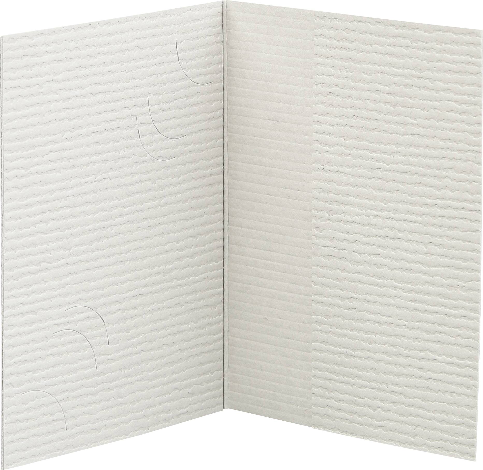 Otwarty, pusty notes z białymi kartkami i delikatnymi, cienkimi liniami do organizacji notatek.