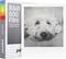 Opakowanie filmu Polaroid B&W 600 z 8 czarno-białymi zdjęciami natychmiastowymi. Obok fotografia białego psa leżącego na poduszce.