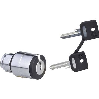 Srebrny cylinder zamka z dwoma przynależnymi kluczami na białym tle.