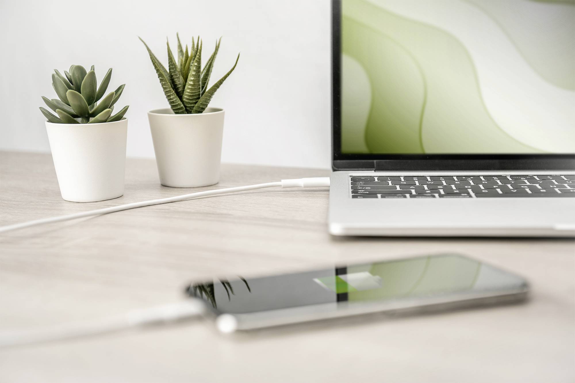 Laptop z zielonkawym tłem ekranu stoi na biurku. Obok niego dwie sukulenty w doniczkach i ładujący się smartfon.