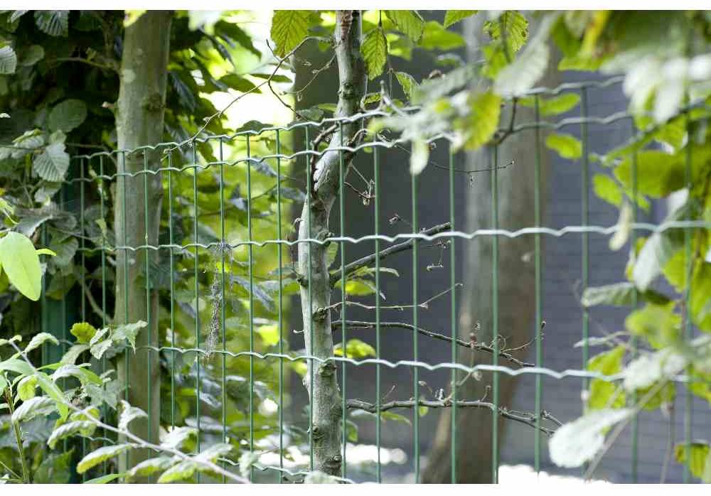 Zielony płot z siatki, otoczony bujną, zieloną roślinnością; ogród z gęstą roślinnością w tle.