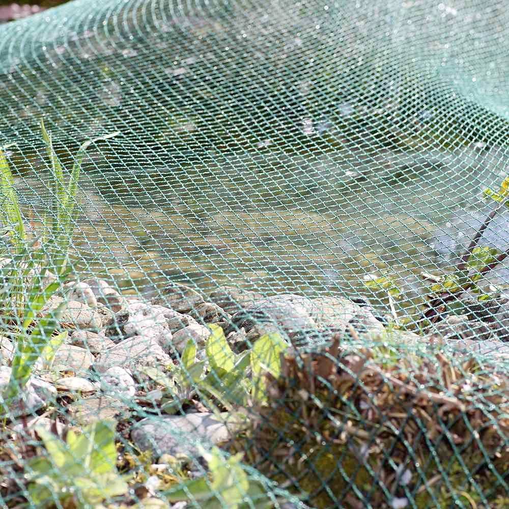 Zielona siatka jest rozciągnięta nad skalistym terenem, aby chronić rośliny znajdujące się poniżej. Siatka działa jako środek ochronny.