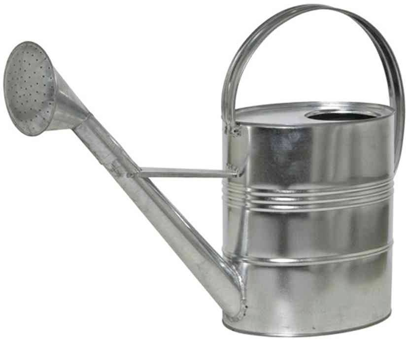 Лійка Siena Garden Zinkgießkanne 10л, срібна Stahlblech, verzinkt