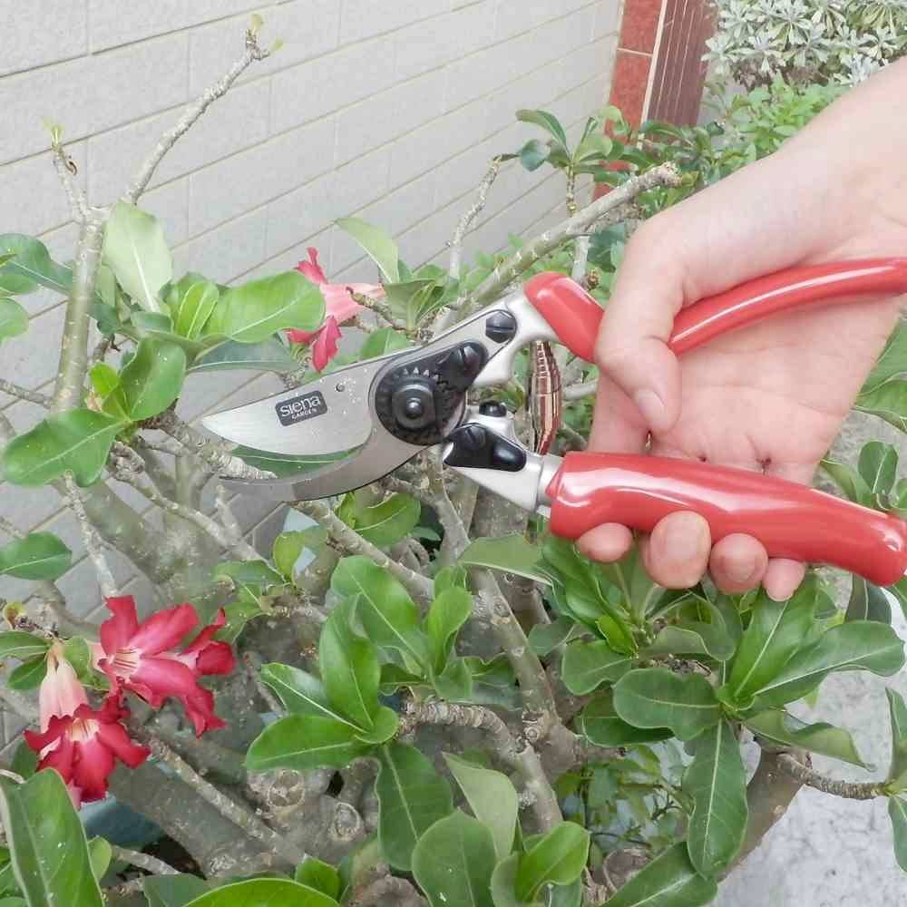 Ножиці для трави Siena Garden CG1070, двосторонній наконечник 21,5 см