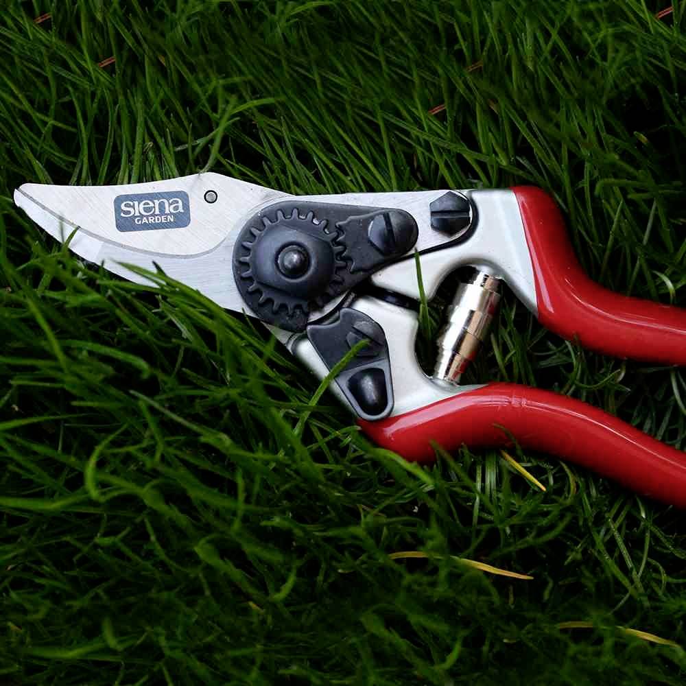 Ножиці для трави Siena Garden CG1060, двосторонній 20,5 см