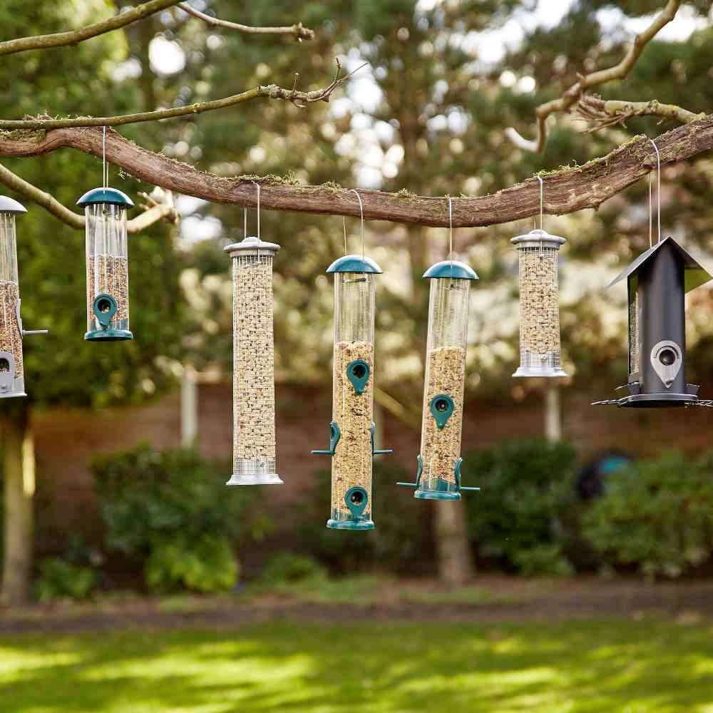 Różne karmniki dla ptaków wiszą na gałęzi, otoczone drzewami w ogrodzie. Są one napełnione różnymi rodzajami ziaren.