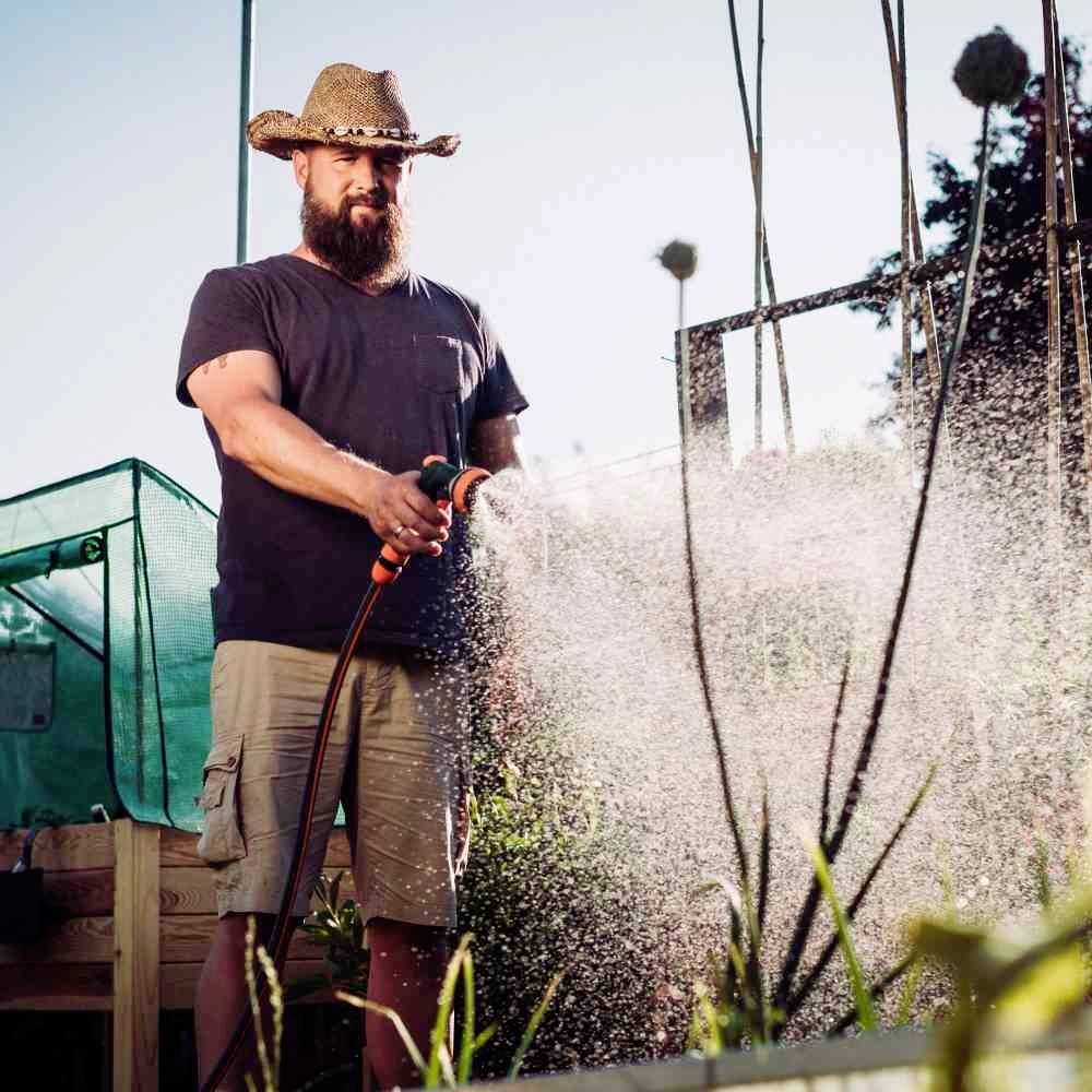 Mężczyzna w kapeluszu podlewa rośliny wężem ogrodowym w ogrodzie wczesnym wieczorem. W tle widać szklarnię.