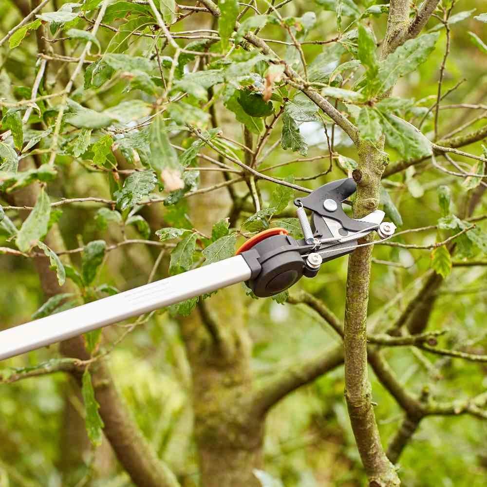 Sekator z długą rączką przycina gałąź drzewa. Liście i gałązki otaczają sekator w zielonym otoczeniu.