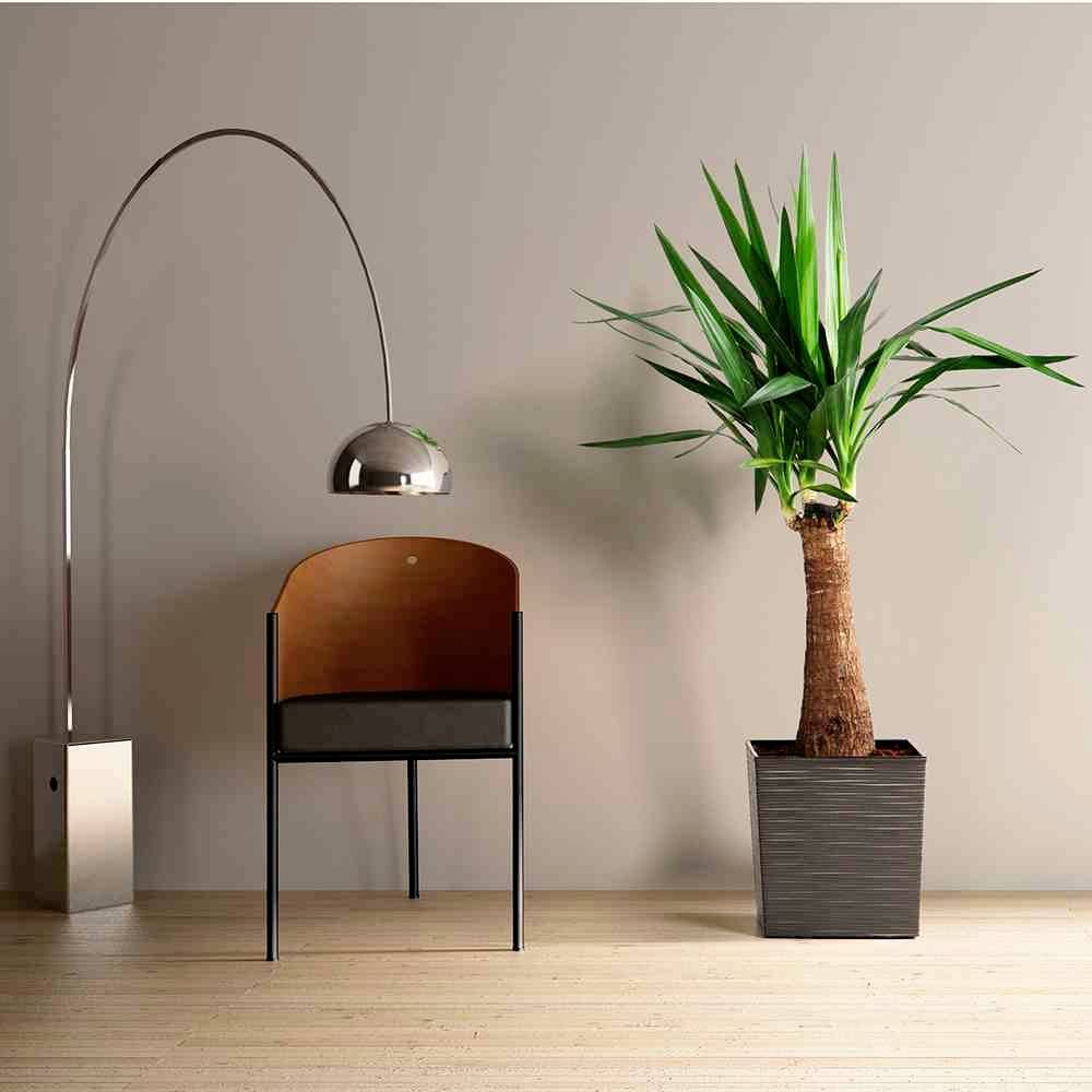 Minimalistyczna przestrzeń z nowoczesną metalową lampą stojącą, drewnianym krzesłem z czarną poduszką oraz rośliną jukki w kwadratowej donicy.