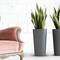 Różowy, vintage'owy fotel stoi po lewej stronie obok wysokich szarych doniczek z zielonymi roślinami na jasnym tle.