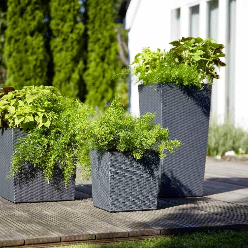 Cztery szare, kwadratowe donice na drewnianym tarasie, wypełnione różnymi zielonymi roślinami, stojące w słońcu.