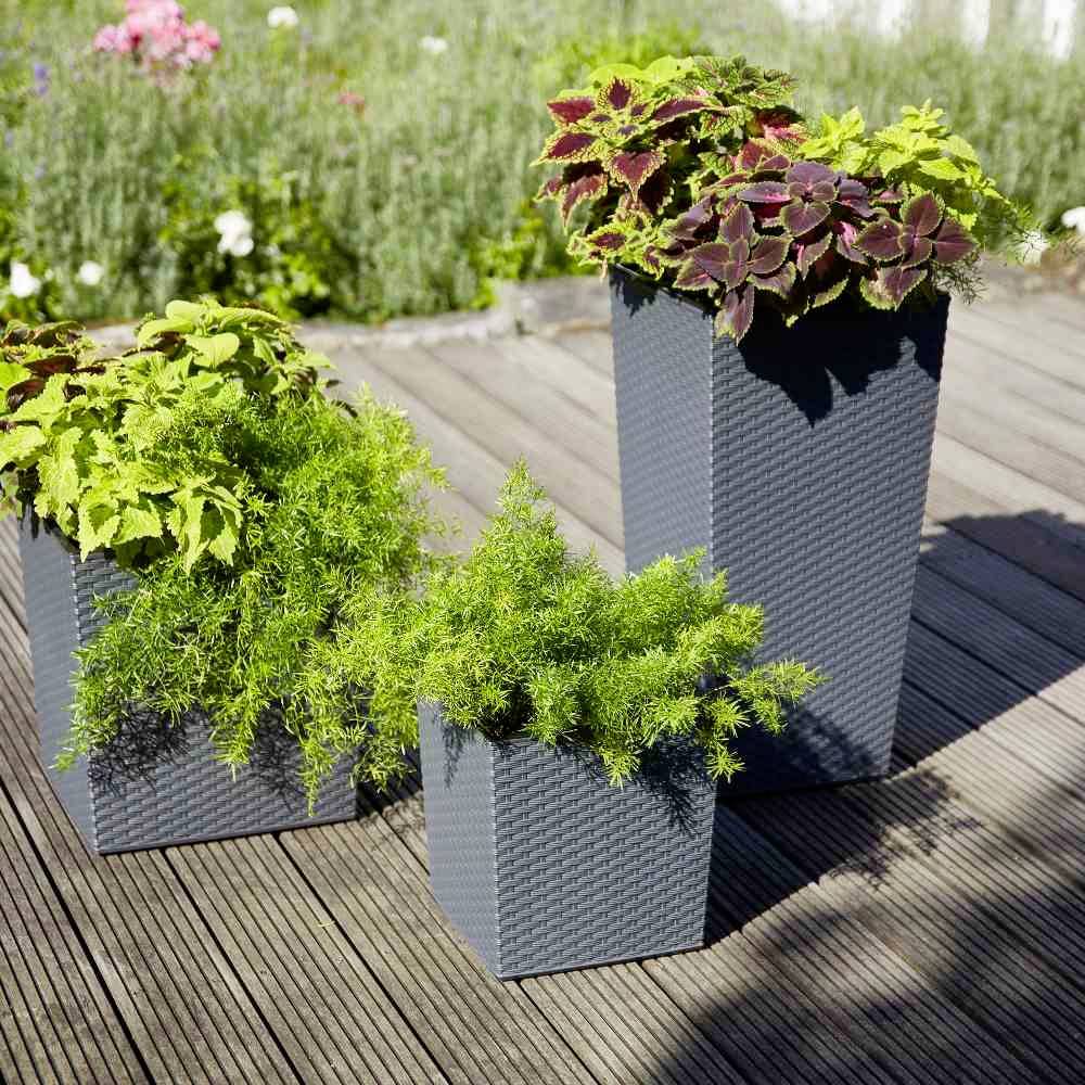 Trzy szare donice na drewnianym tarasie, każda obsadzona różnymi zielonymi i kolorowymi roślinami. Słoneczny dzień.