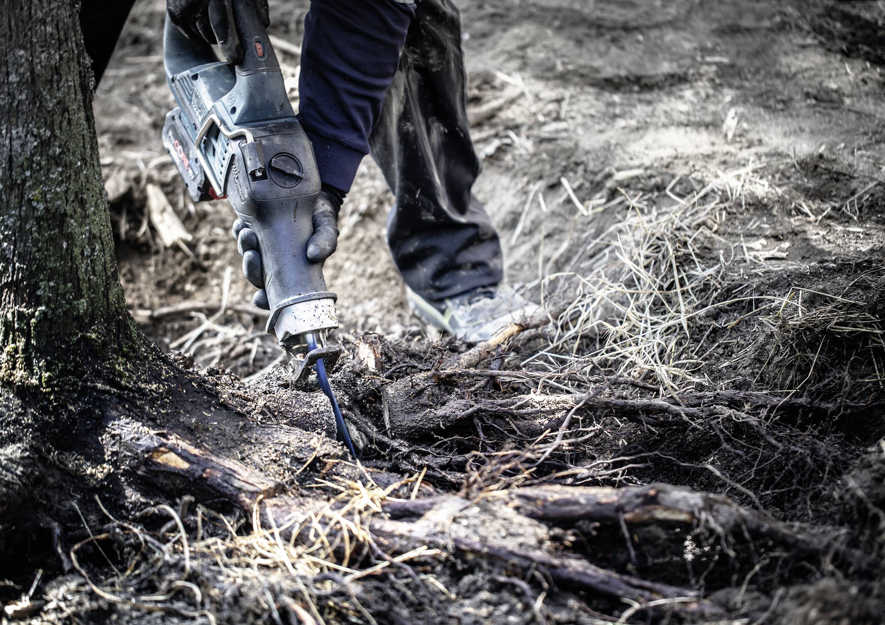 Пильне полотно для зворотно-поступальної пилки Bosch Accessories 2608900403 1 шт. Bosch Accessories 2608900403 1 шт.