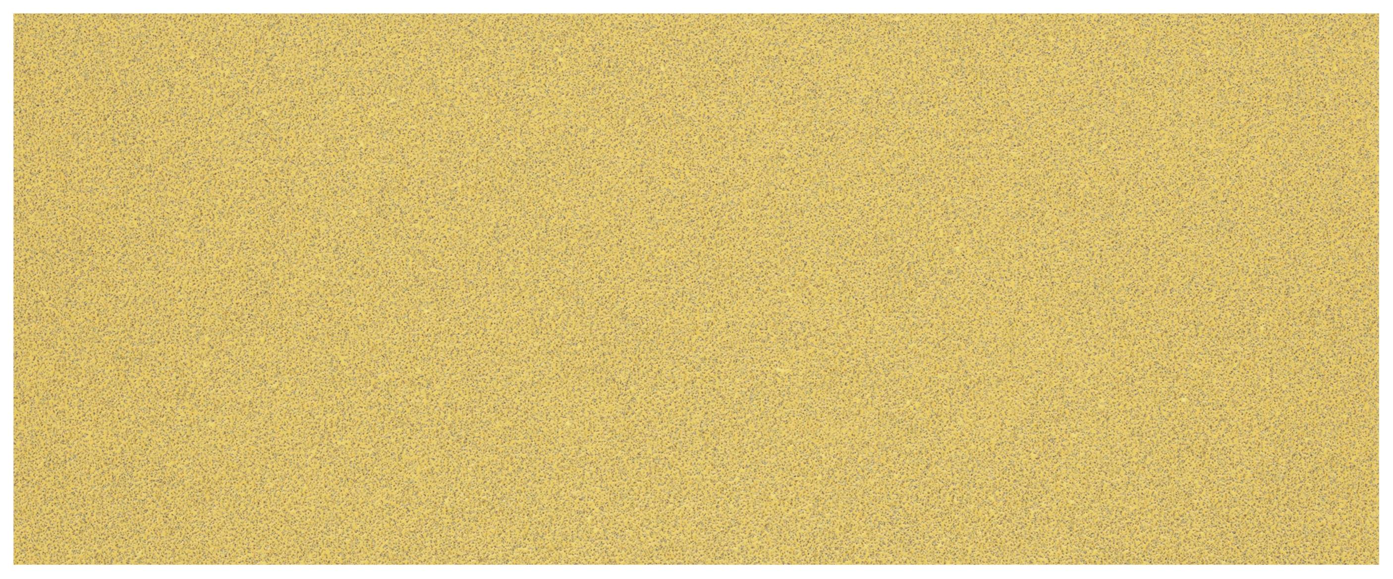 Наждачний папір для шліфувальної машини Bosch Accessories EXPERT C470 2608900841 230 мм 10 шт.