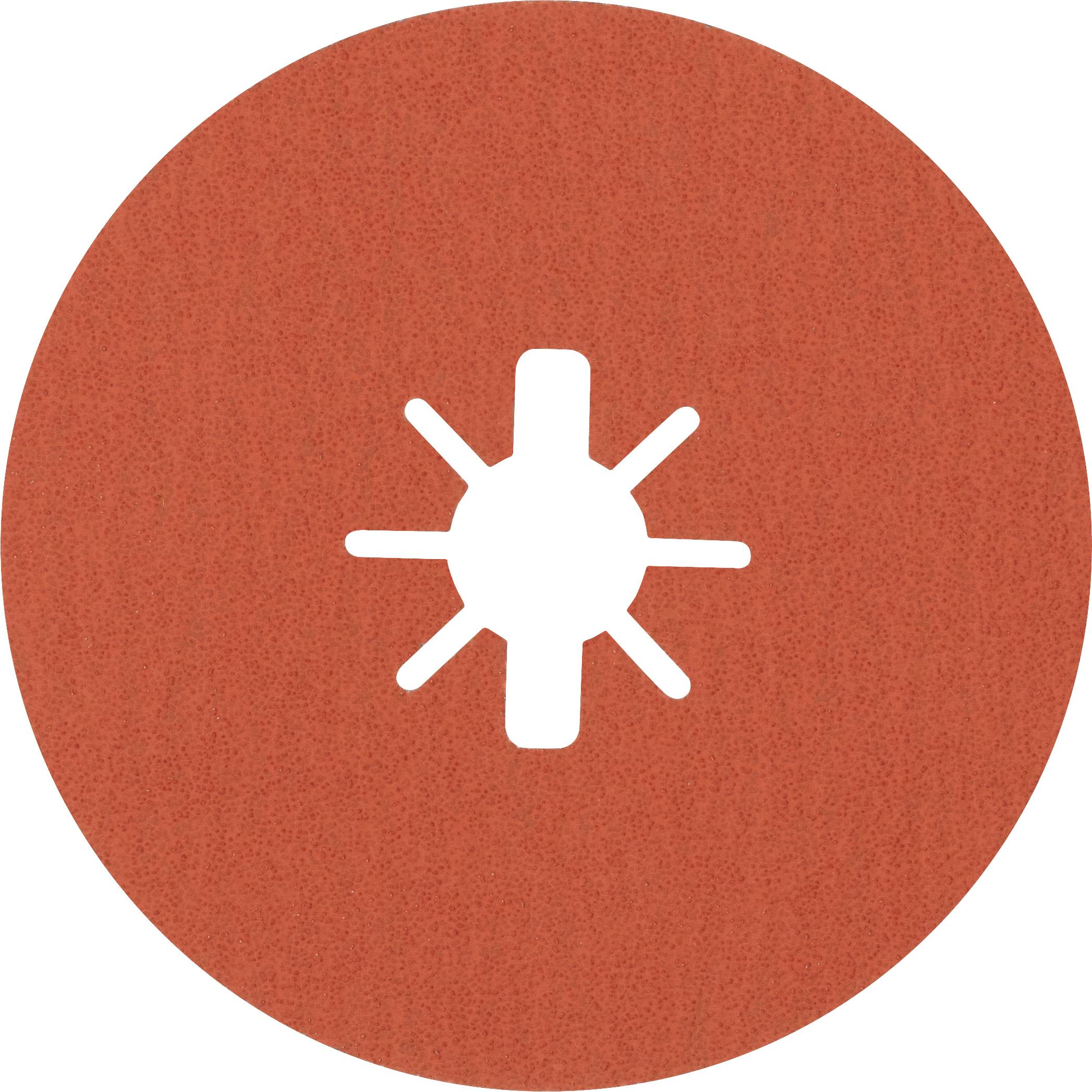 Аксесуари Bosch 2608621810 Фібровий диск Діаметр 125 мм Зернистість = 80 5 шт.