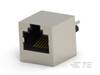 TE Connectivity 3-1734577-1 TE AMP Standard Modular Jacks, 1 szt.